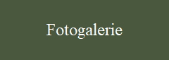 Fotogalerie