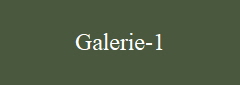 Galerie-1